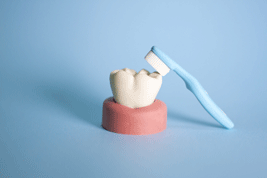 歯ブラシと歯